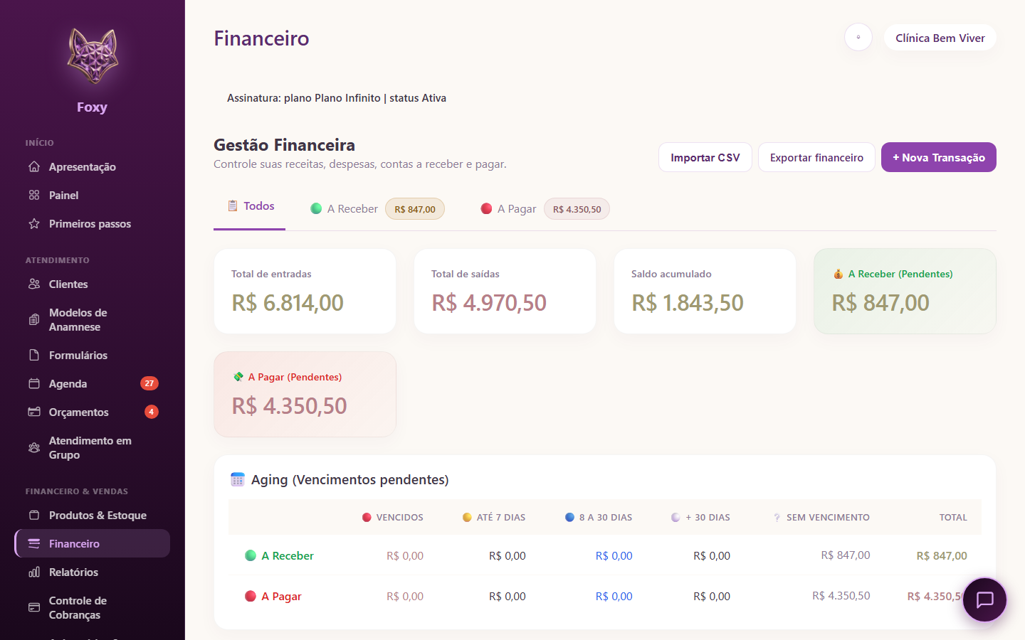Tela real do Financeiro do Foxy